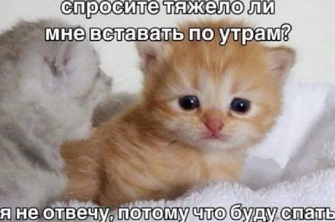 A мне'‘вставать по я не отвечу, уду cna