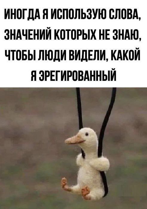 ИНОГДА Я ИСПОЛЬЗУЮ СЛОВА, ЗНАЧЕНИЙ КОТОРЫХ НЕ ЗНАЮ, ЧТОБЫ ЛЮДИ ВИДЕЛИ, КАКОЙ Я ЭРЕГИРОВАННЫЙ