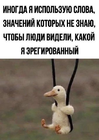 ИНОГДА Я ИСПОЛЬЗУЮ СЛОВА, ЗНАЧЕНИЙ КОТОРЫХ НЕ ЗНАЮ, ЧТОБЫ ЛЮДИ ВИДЕЛИ, КАКОЙ Я ЭРЕГИРОВАННЫЙ