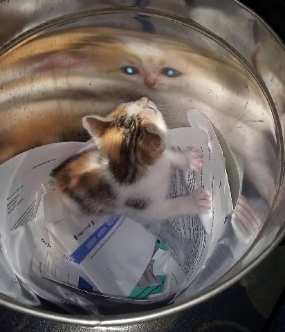 у
