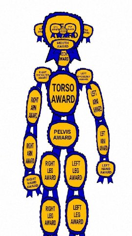 AWARD ANARD RIGHT LEG RIGHT AWARD AWARD AWARD 4 RIGHT LEG AWARD AWARD