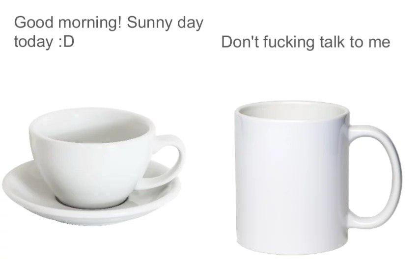 Good morning! Sunny day today Don't fucking talk to me