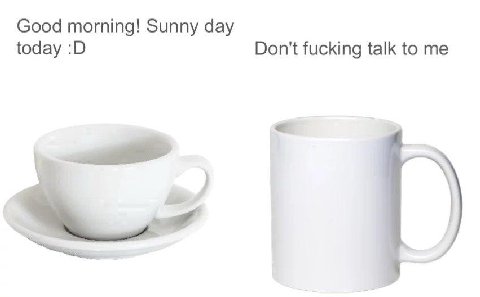 Good morning! Sunny day today Don't fucking talk to me