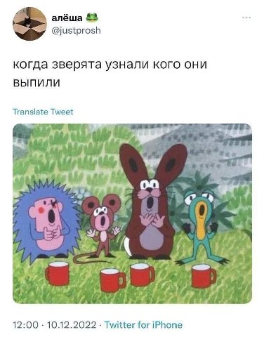 алёша @justprosh когда зверята узнали кого они выпили Translate Tweet 2 А 7 4 “у у 12:00 10.12.2022 Twitter for iPhone