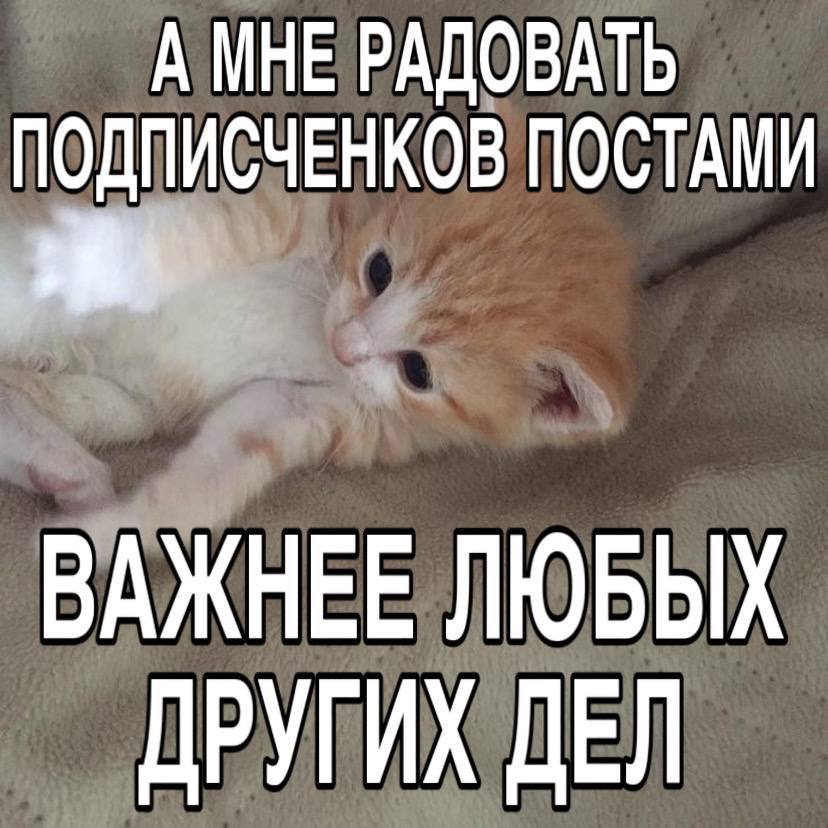 А МНЕ РАДОВАТЬ ПОДПИСЧЕНКОВ ПОСТАМИ ВАЖНЕЕ ЛЮБЫХ ДРУГИХ ДЕЛ