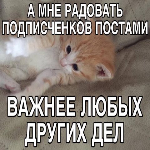 А МНЕ РАДОВАТЬ ПОДПИСЧЕНКОВ ПОСТАМИ ВАЖНЕЕ ЛЮБЫХ ДРУГИХ ДЕЛ