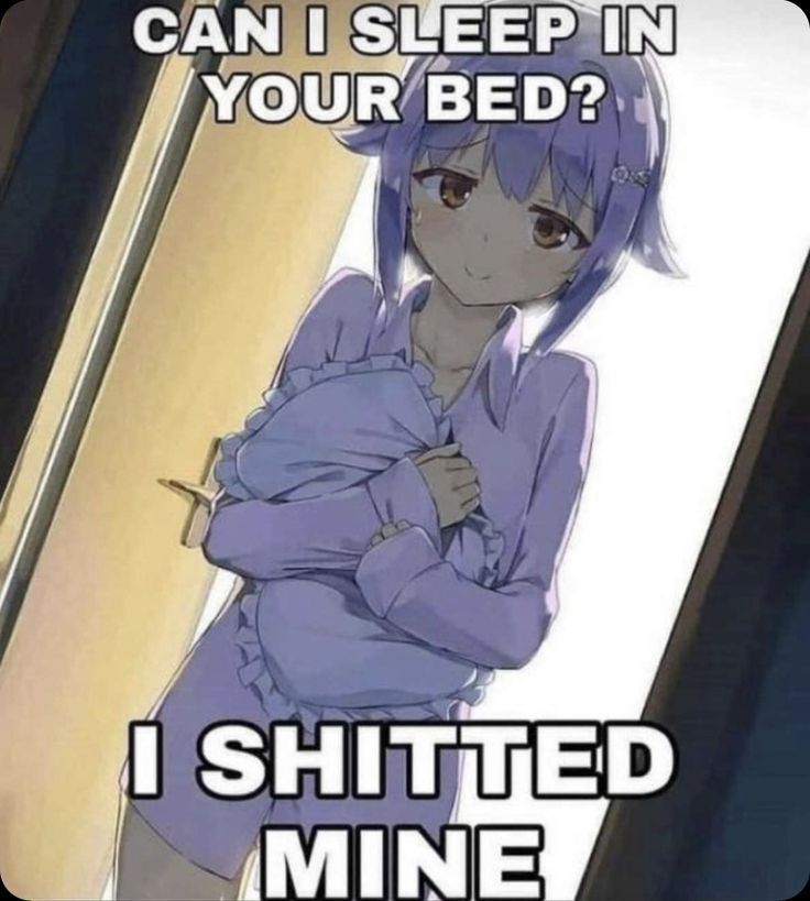 3 SHITMED