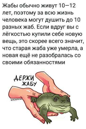 Жабы обычно живут 10—12 лет, поэтому за всю жизнь человека могут душить до 10 разных жаб. Если вдруг вы с лёгкостью купили себе новую вещь, это скорее всего значит, что старая жаба уже умерла, а новая