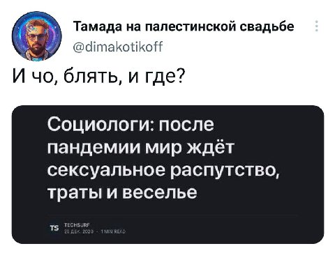 Тамада на палестинской свадьбе @dimakotikoff И блять, и где? Социологи: после пандемии мир ждёт сексуальное распутство, траты и веселье