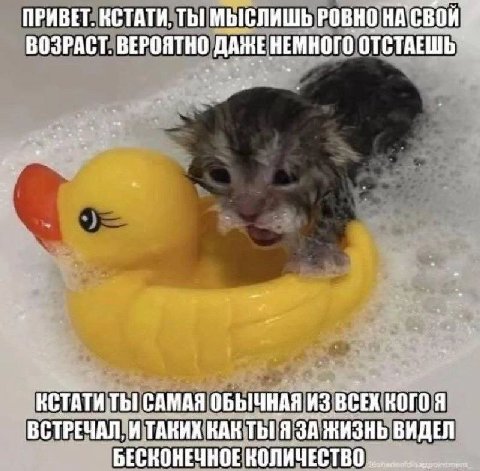 ПРИВЕТ. КСТАТИ, ТЫ МЫСЛИШЬ РОВНО ВОЗРАСТ. ВЕРОЯТНО ОТСТАЕШЬ КСТАТИ ТЫ САМАЯ ОБЫЧНАЯ ИЗ КОГО Я ВСТРЕЧАЛ, И ТАКИХ КАК ЗА ЖИЗНЬ ВИДЕЛ БЕСКОНЕЧНОЕ