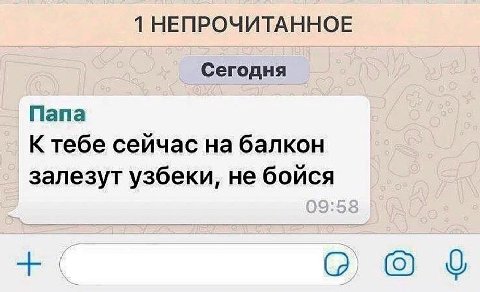 1 НЕПРОЧИТАННОЕ Сегодня Папа К тебе сейчас на балкон залезут узбеки, не бойся
