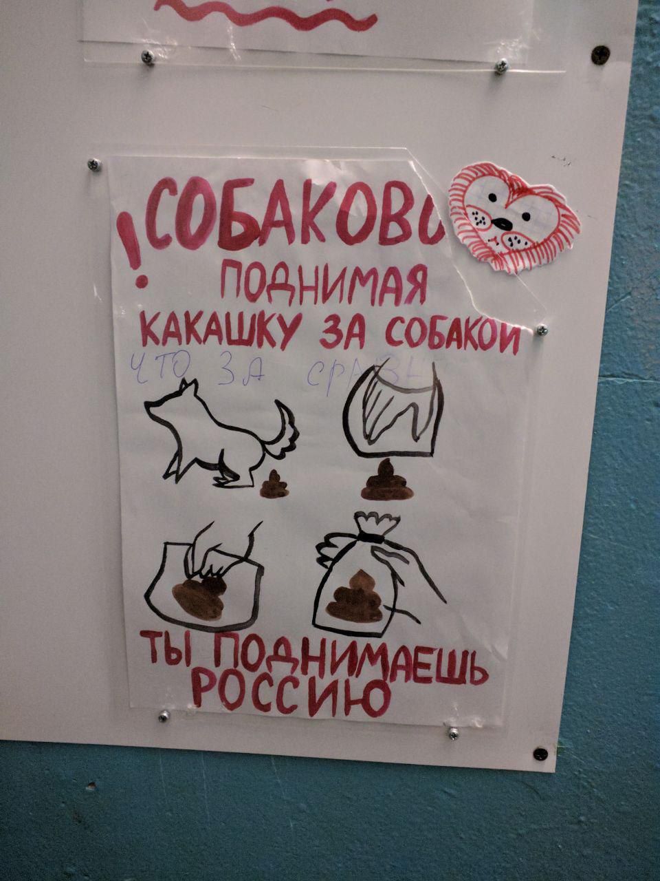 КАКАШКУ