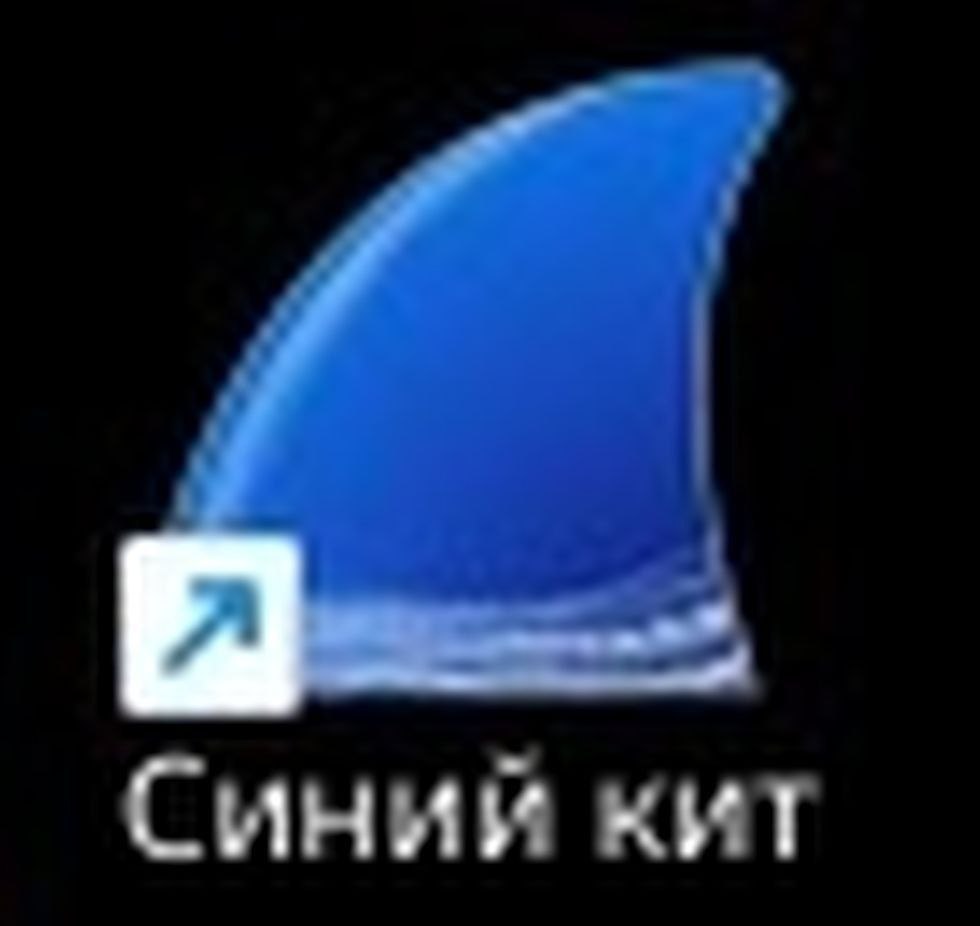 Синий кит