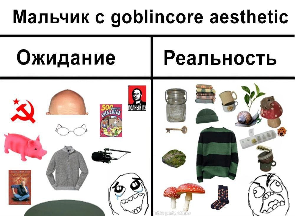 Мальчик с goblincore aesthetic Ожидание Реальность 2 923 В