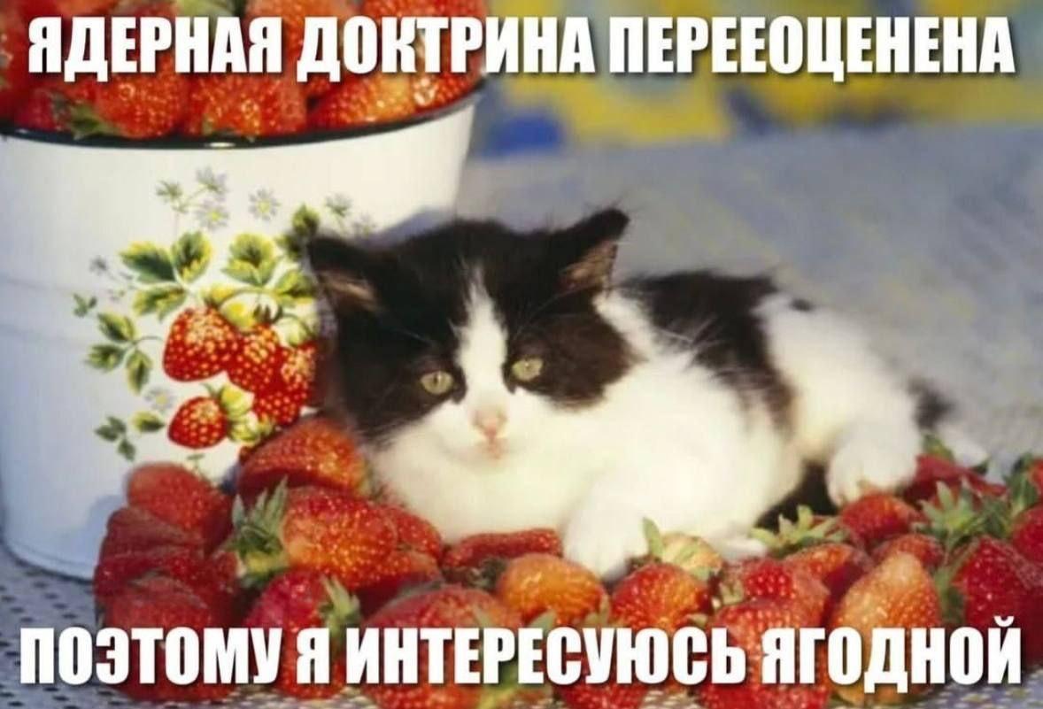 ЯДЕРНАЯ ДОКТРИНА ПЕРЕЕОЦЕНЕНА ПОЭТОМУ Я ИНТЕРЕСУЮСЬ ЯГОДНОЙ