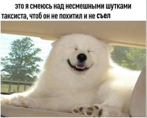 это я смеюсь над несмешными шутками таксиста, чтоб он не похитил и не съел