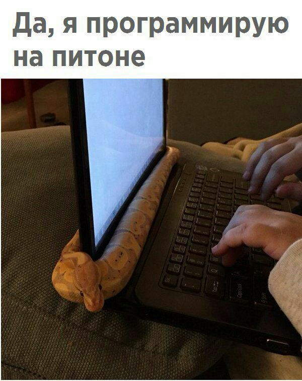 Да, я программирую на питоне