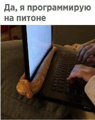 Да, я программирую на питоне