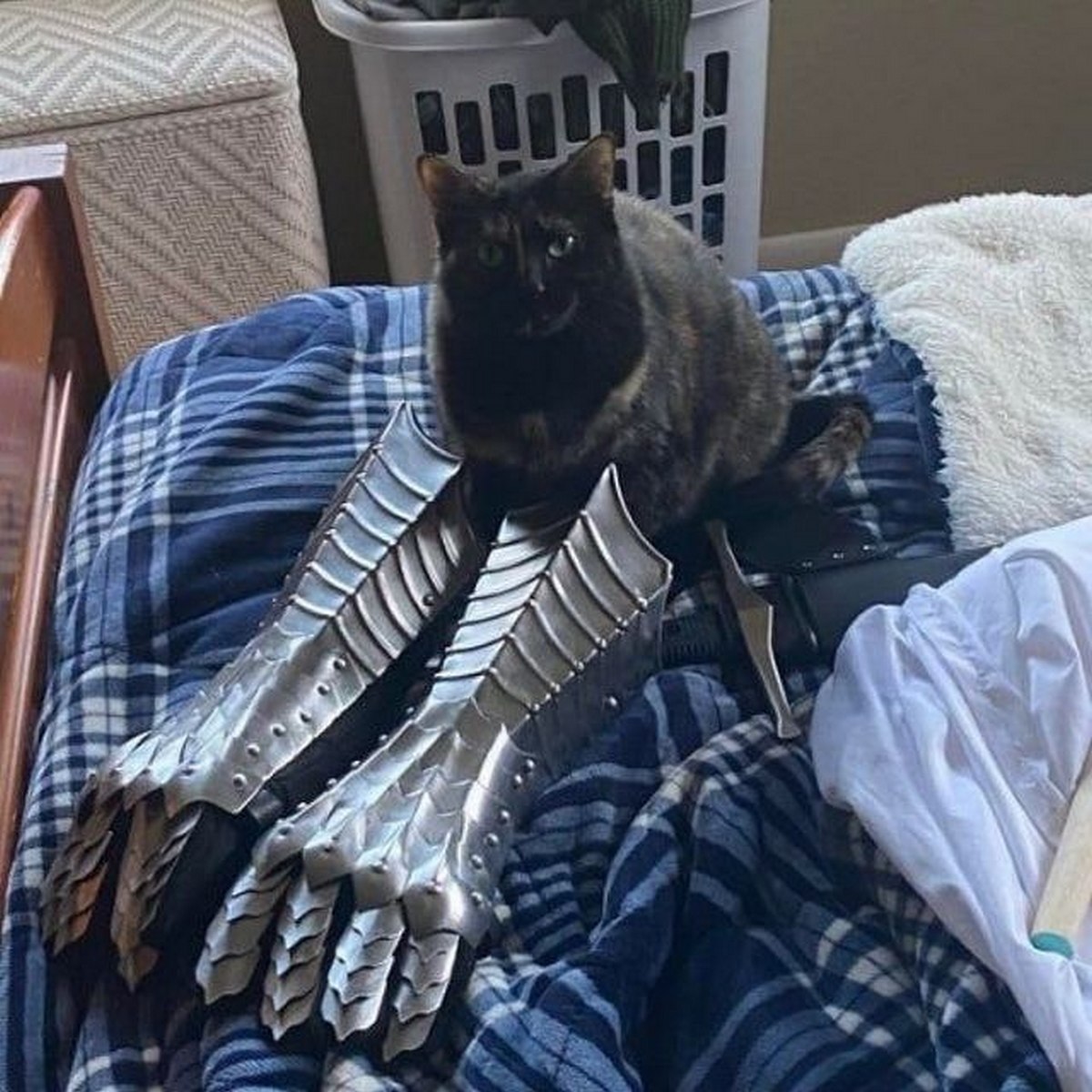 AN A: и