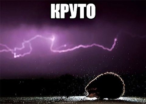 БЛЯЯЯЯЯЯЯЯЯЯЯЯ