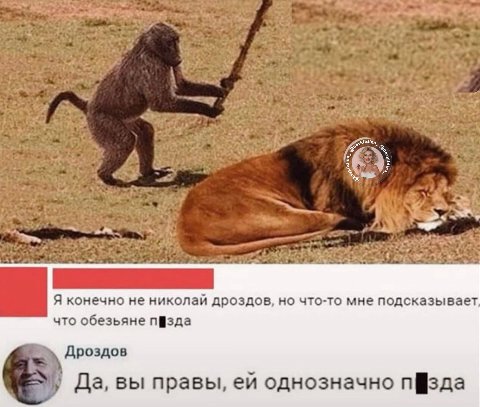 «7 7% 4; Я конечно не николай дроздов, но что-то мне подсказывает что обезьяне Дроздов Да, вы правы, однозначно пфзда