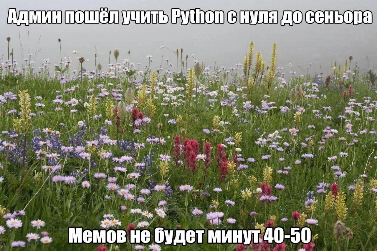 if 4 A no ter thon AT CHYNA до сеньора a we on ane pore my a% at 1% a 4% wre sip we NAG У a Mas axe Memos He будет минут