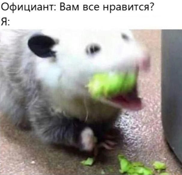 Официант: Вам все нравится? Я