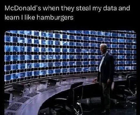 when they steal my data and learn hamburgers