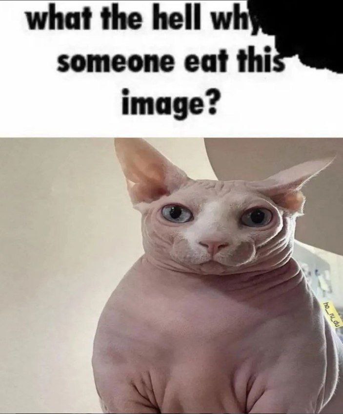 what the hell someone eat thi image? at \2%