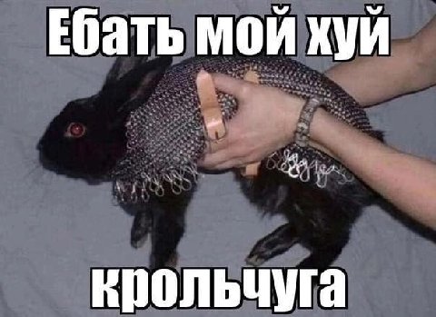 Ебать мой хуй