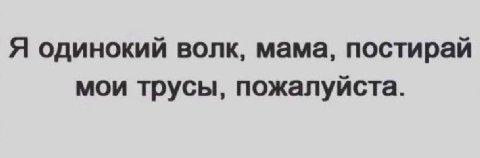 Я одинокий волк, мама, постирай мои трусы, пожалуйста.