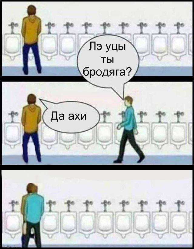 уцы ты бродяга?