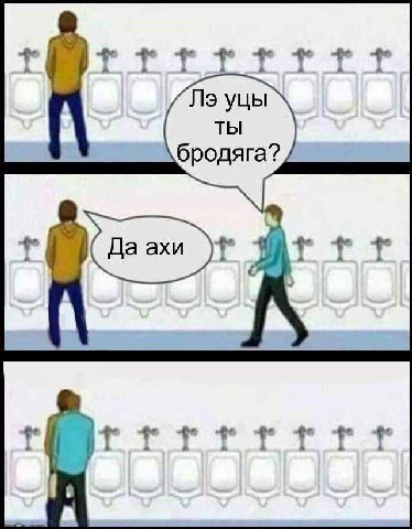 уцы ты бродяга?