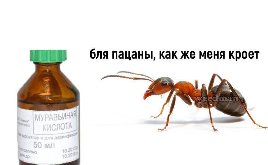 бля пацаны, как же меня кроет