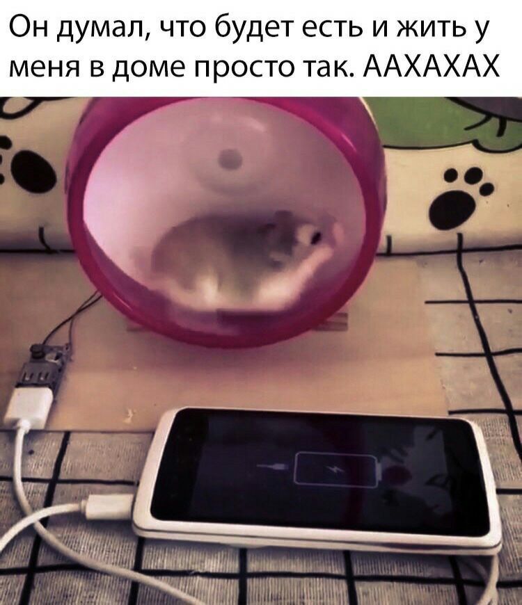 Он думал, что будет есть и жить у меня в доме просто так. ААХАХАХ