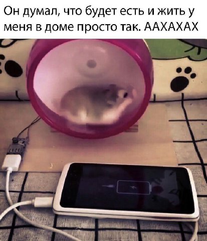 Он думал, что будет есть и жить у меня в доме просто так. ААХАХАХ