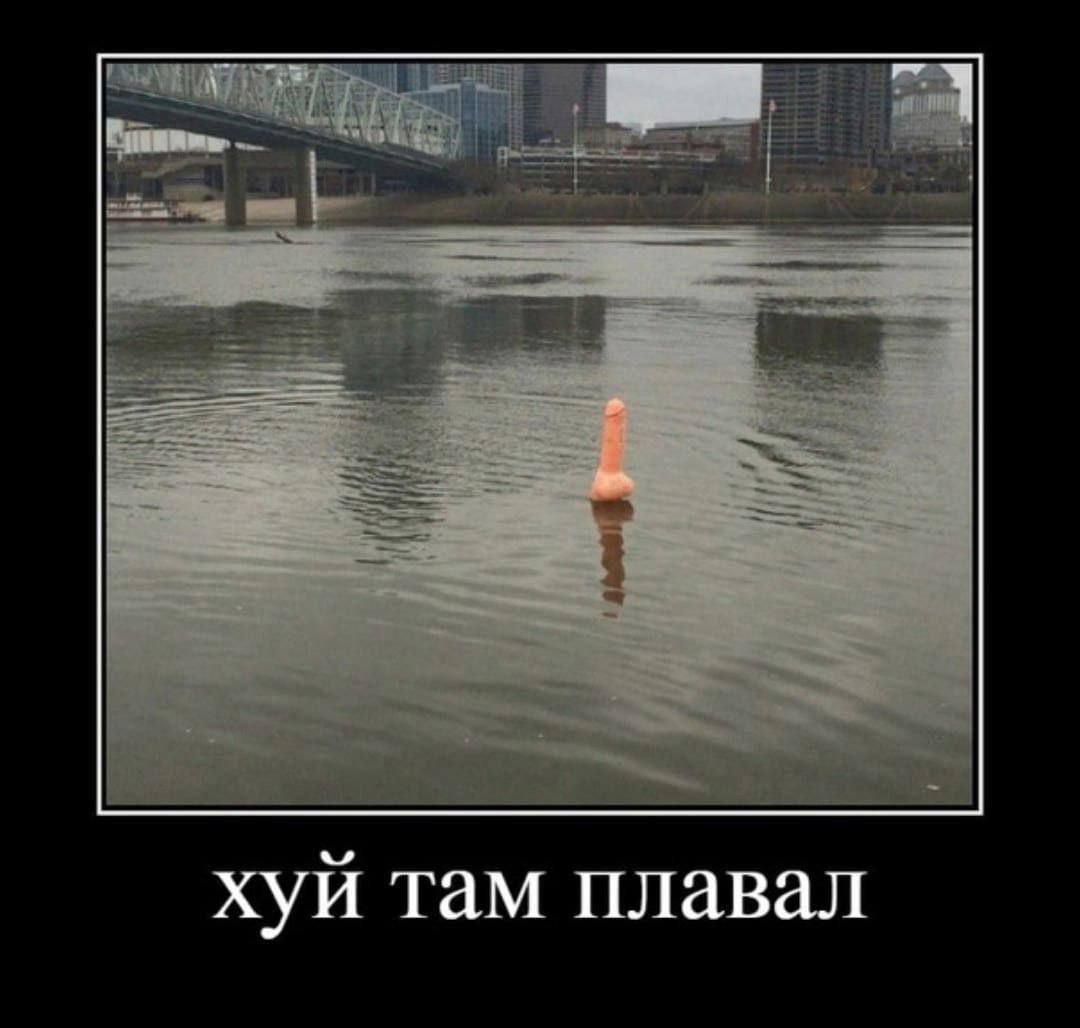 хуй там плавал