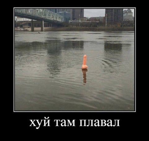 хуй там плавал