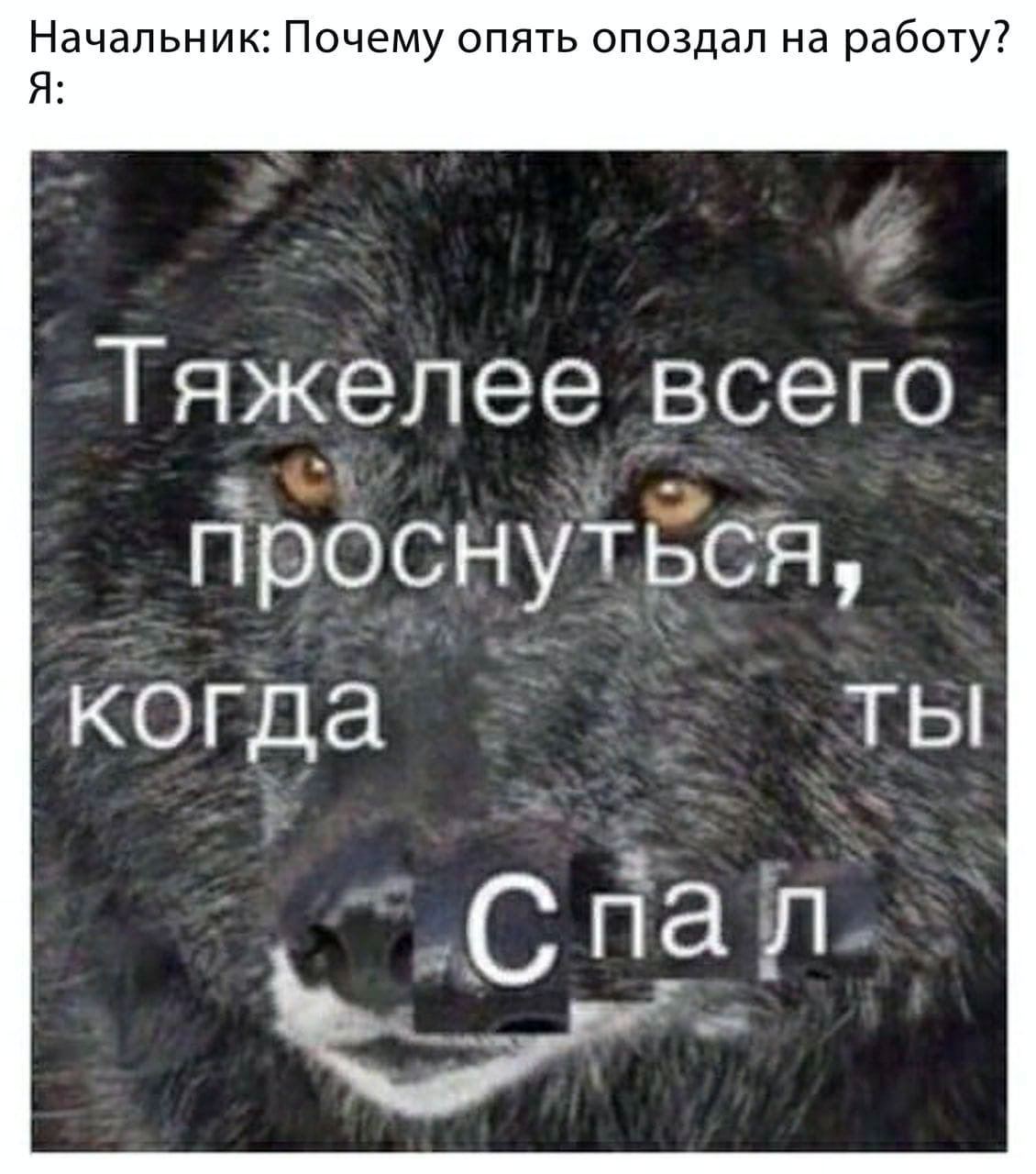 Начальник: Почему опять опоздал на работу? Я: Тяжелее всего проснуться, когда Ты пал