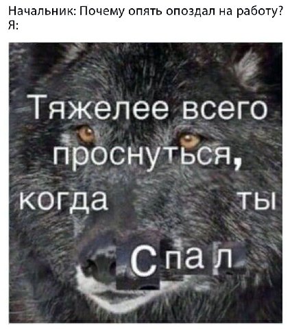 Начальник: Почему опять опоздал на работу? Я: Тяжелее всего проснуться, когда Ты пал