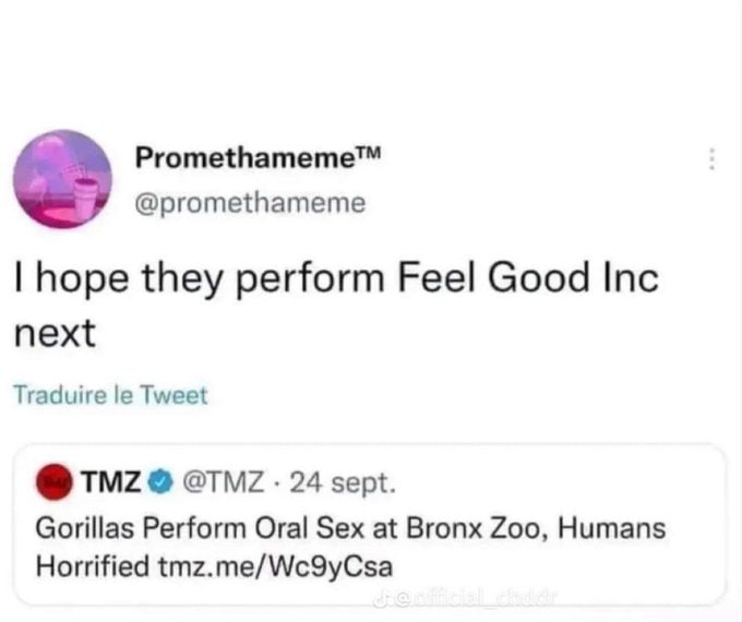 Promethameme™ @promethameme hope they perform Feel Good Inc next Traduire Tweet TMZ 24 sept. Gorillas Perform Oral Sex at Bronx Zoo, Humans Horrified tmz.me/Wc9yCsa