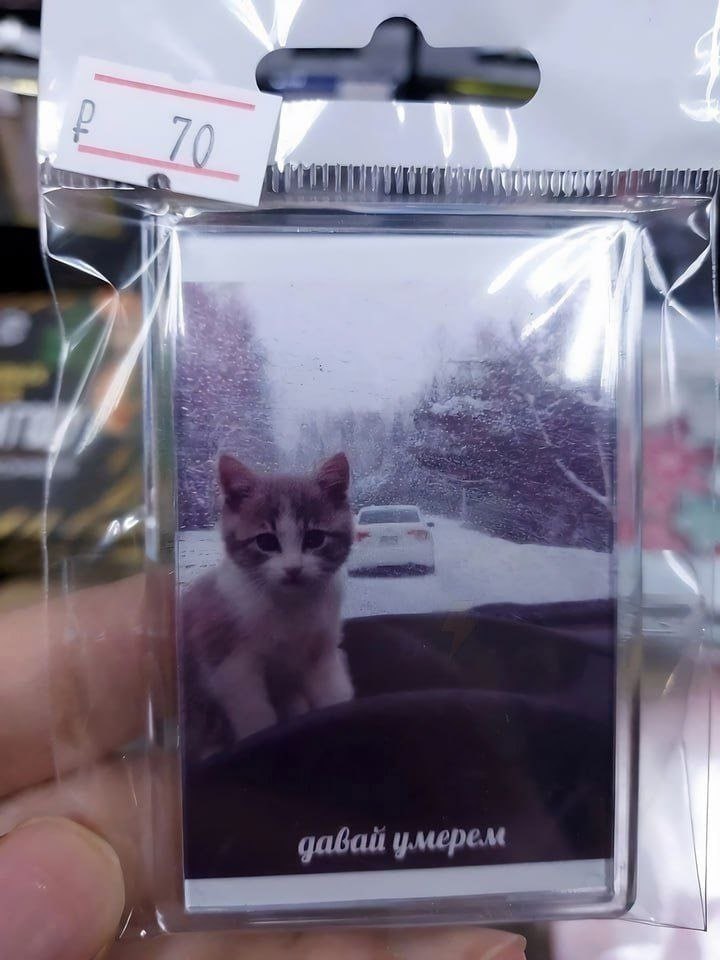 4 vai 3 be давай умерем