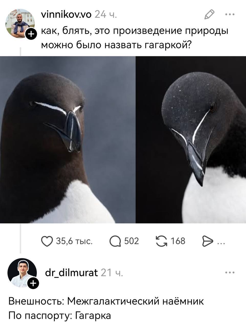 vinnikovvo 24 4 как, блять, это произведение природы можно было назвать гагаркой? 35,6 тыс. С 502 168 dr_dilmurat 21 Внешность: Межгалактический наёмник По паспорту: Гагарка