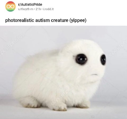 r/AutisticPride u/theyth-m i.redd.it photorealistic autism creature (yippee)