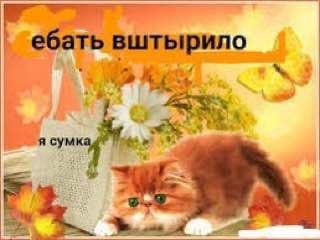ать вштырило я сум [4