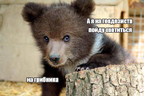 Аяна пойду охотиться натрибника