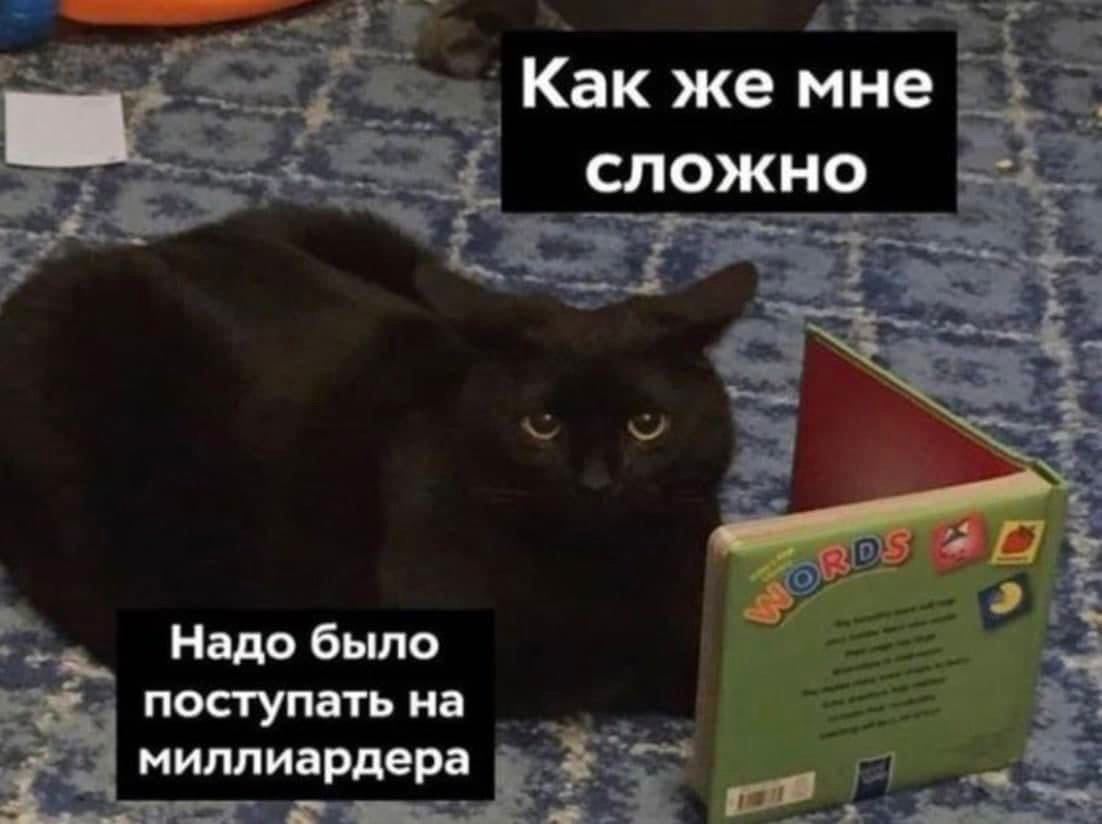 Как же мне СЛОЖНО Надо было поступать на миллиардера