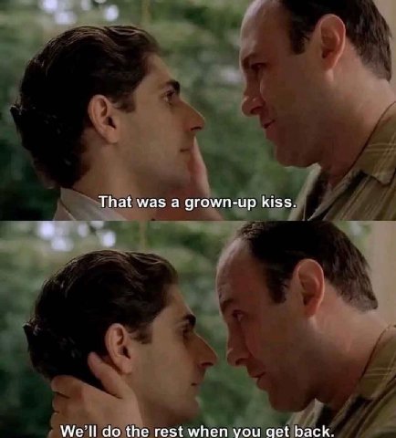 That was а grown-up kiss. о We’ll the rest when you get back.