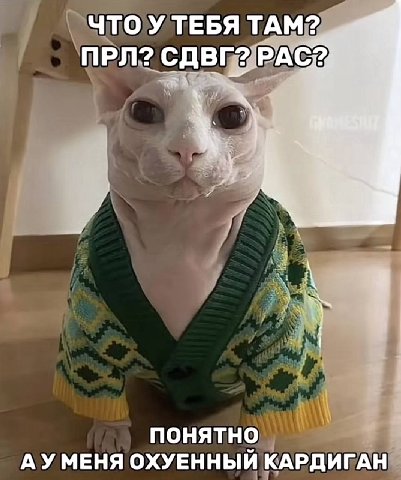ЧТО УТЕБЯ ТАМ? ПРЛ? СДВГ? РАС? NOHATHO АУМЕНЯ ОХУЕННЫЙ КАРДИГАН