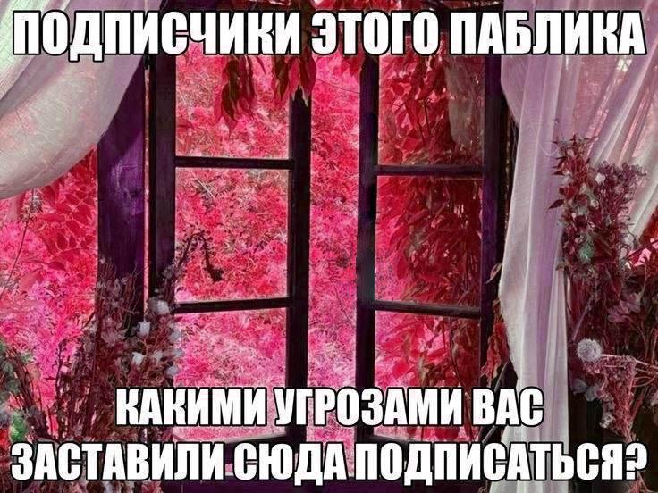 ПОДПИСЧИКИ ЭТОГО ПАБЛИКА КАКИМИ УГРОЗАМИ ВАС ЗАСТАВИЛИ СЮДА ПОДПИСАТЬСЯ?